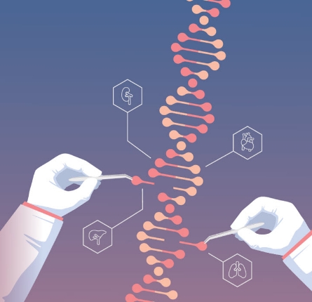 Donor-derived-cell-free-DNA-testing-4